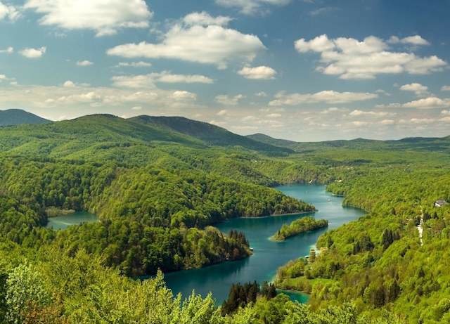 Живописный вид на Плитвицкие озера в Хорватии. Фото: Tzplitvice.hr